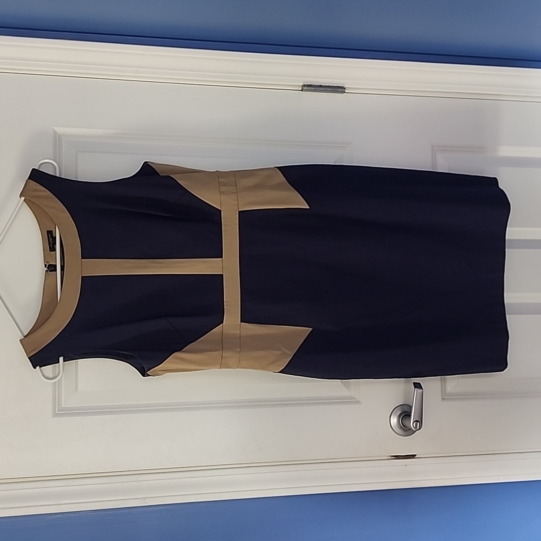 Ann Taylor Dress Size 10 Nwot